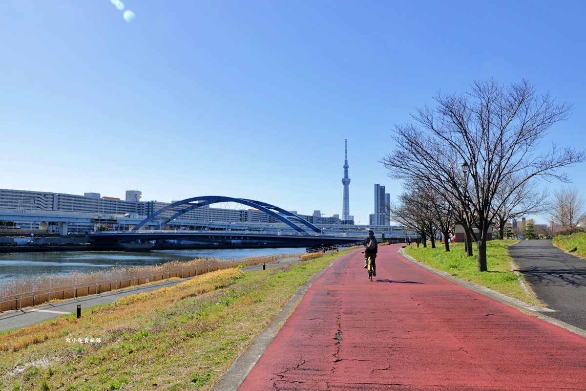 【東京南千住】汐入公園‧賞櫻就來汐入公園,河津櫻、寒緋櫻、大寒櫻、陽光櫻30種以上櫻花 - 第14張圖 【東京南千住】汐入公園‧賞櫻就來汐入公園,河津櫻、寒緋櫻、大寒櫻、陽光櫻30種以上櫻花