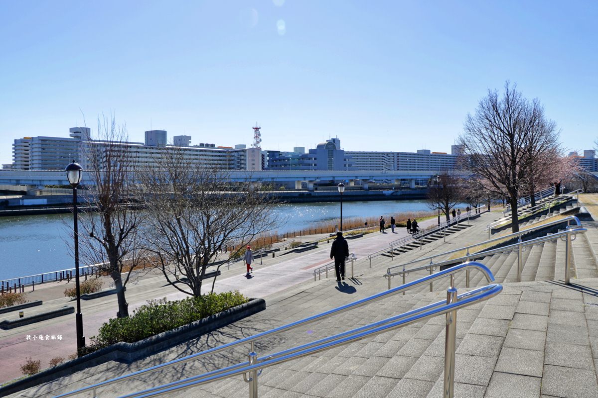 【東京南千住】汐入公園‧賞櫻就來汐入公園,河津櫻、寒緋櫻、大寒櫻、陽光櫻30種以上櫻花 - 第22張圖 【東京南千住】汐入公園‧賞櫻就來汐入公園,河津櫻、寒緋櫻、大寒櫻、陽光櫻30種以上櫻花