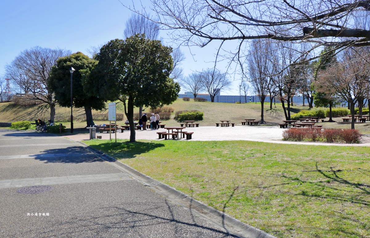 【東京南千住】汐入公園‧賞櫻就來汐入公園,河津櫻、寒緋櫻、大寒櫻、陽光櫻30種以上櫻花 - 第3張圖 【東京南千住】汐入公園‧賞櫻就來汐入公園,河津櫻、寒緋櫻、大寒櫻、陽光櫻30種以上櫻花