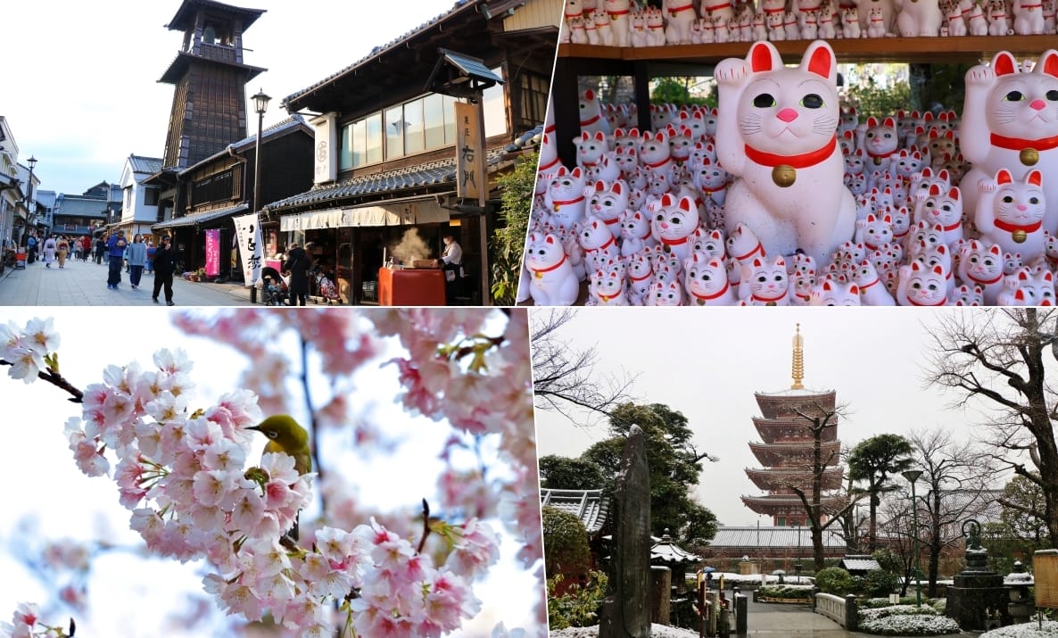 【日本東京】東京酷航春初賞櫻‧東京自助好好玩,神社、美食、購物一次搞定 - 第1張圖 【日本東京】東京酷航春初賞櫻‧東京自助好好玩,神社、美食、購物一次搞定