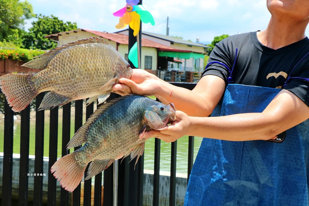 里長台灣鯛 美濃旗艦店‧2.0新開張!!超特色的美濃在地料理,里長好客鍋台灣鯛風味砂鍋魚頭一鍋三體驗 - 第17張圖 里長台灣鯛 美濃旗艦店‧2.0新開張!!超特色的美濃在地料理,里長好客鍋台灣鯛風味砂鍋魚頭一鍋三體驗