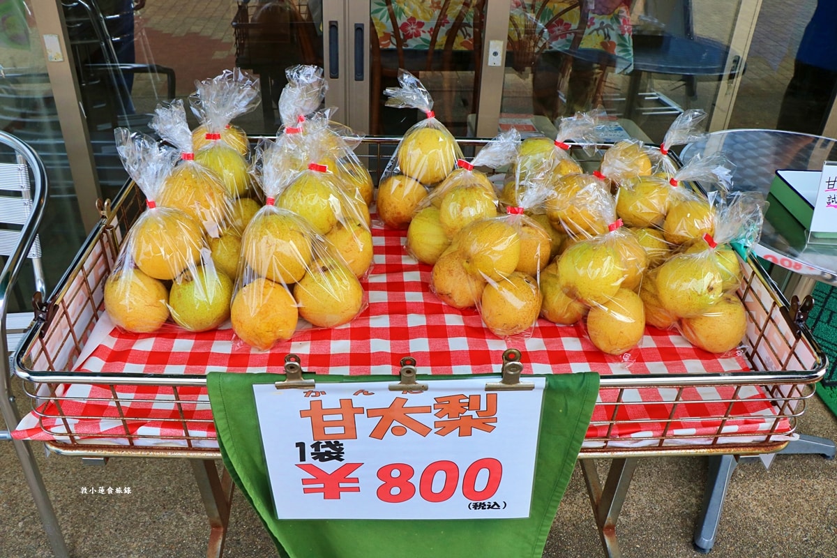 【日本鳥取】さんこうえん 三光園 砂丘店‧鳥取砂丘手工梨冰淇淋，11種口味當地食材製成的冰淇淋