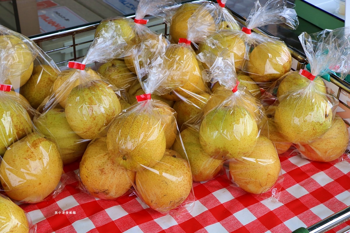 【日本鳥取】さんこうえん 三光園 砂丘店‧鳥取砂丘手工梨冰淇淋，11種口味當地食材製成的冰淇淋