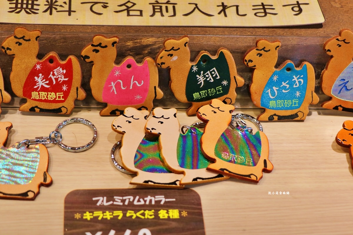 【日本鳥取】鳥取砂丘展望台‧ 砂丘センター見晴らしの丘 3樓展望台一覽無遺日本海、鳥取砂丘,一次買齊山陰山陽紀念品 - 第14張圖 【日本鳥取】鳥取砂丘展望台‧ 砂丘センター見晴らしの丘 3樓展望台一覽無遺日本海、鳥取砂丘,一次買齊山陰山陽紀念品