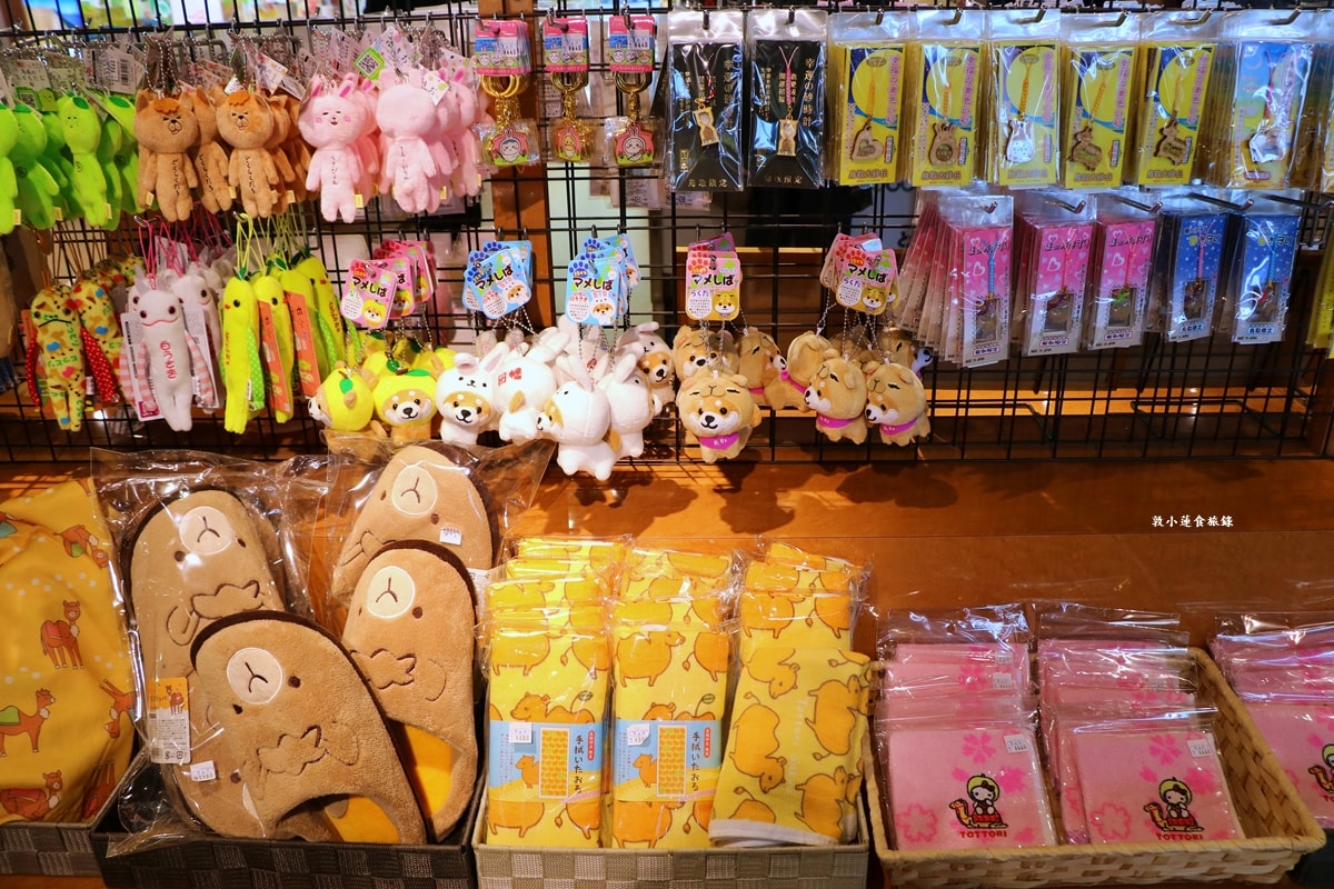 【日本鳥取】鳥取砂丘展望台‧ 砂丘センター見晴らしの丘 3樓展望台一覽無遺日本海、鳥取砂丘,一次買齊山陰山陽紀念品 - 第18張圖 【日本鳥取】鳥取砂丘展望台‧ 砂丘センター見晴らしの丘 3樓展望台一覽無遺日本海、鳥取砂丘,一次買齊山陰山陽紀念品