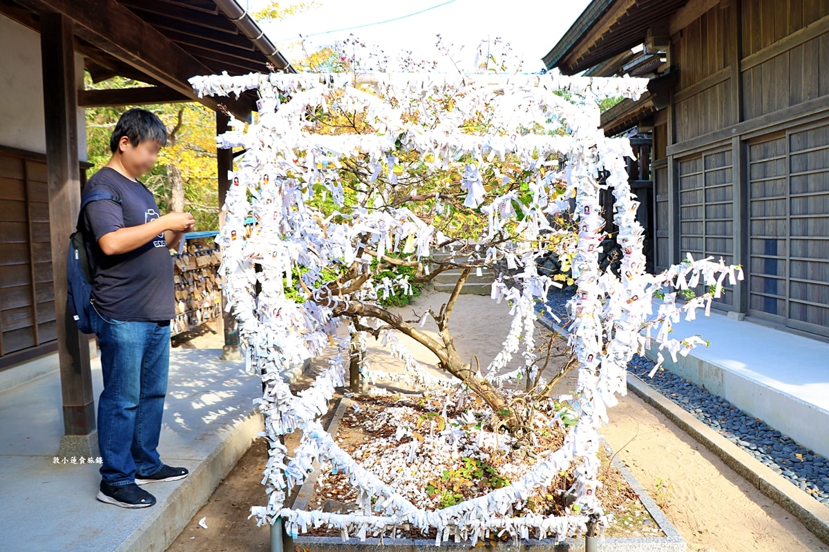 【日本鳥取】白兔神社‧祈求戀人的姻緣愛情神社,參拜完走一趟蔚藍清澈的白兔海岸 - 第30張圖 【日本鳥取】白兔神社‧祈求戀人的姻緣愛情神社,參拜完走一趟蔚藍清澈的白兔海岸