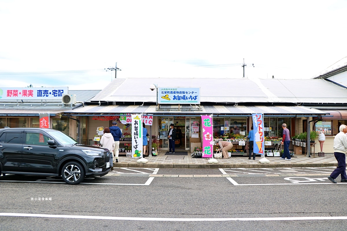 【日本鳥取】初訪鳥取神話與景點‧新手入門懶人包,柯南、鬼太郎、白兔神社、鳥取砂丘、浦富海岸,交通搭乘一次攻略 - 第82張圖 【日本鳥取】初訪鳥取神話與景點‧新手入門懶人包,柯南、鬼太郎、白兔神社、鳥取砂丘、浦富海岸,交通搭乘一次攻略