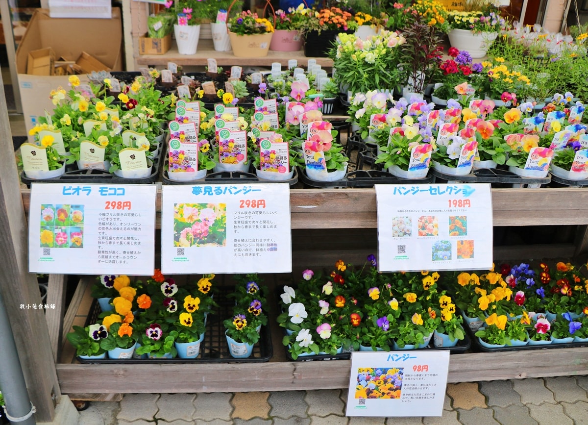 【鳥取由良】お台場いちば‧青山御所館旁的路邊車站物產中心,這裡可以買到最便宜的蔬菜水果、花卉和藥草苗 - 第3張圖 【鳥取由良】お台場いちば‧青山御所館旁的路邊車站物產中心,這裡可以買到最便宜的蔬菜水果、花卉和藥草苗