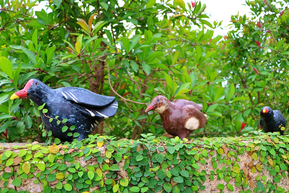 鳥松濕地公園‧自然生態教學為主的濕地公園,內有93種鳥類,喜愛鳥寶你絕不能錯過的生態公園 - 第7張圖 鳥松濕地公園‧自然生態教學為主的濕地公園,內有93種鳥類,喜愛鳥寶你絕不能錯過的生態公園