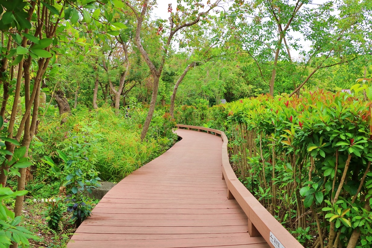 鳥松濕地公園‧自然生態教學為主的濕地公園,內有93種鳥類,喜愛鳥寶你絕不能錯過的生態公園 - 第8張圖 鳥松濕地公園‧自然生態教學為主的濕地公園,內有93種鳥類,喜愛鳥寶你絕不能錯過的生態公園
