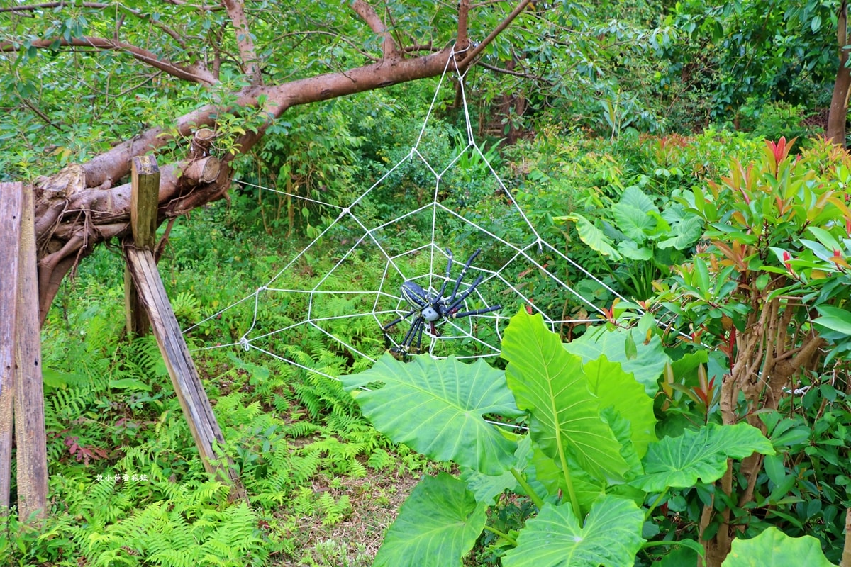 鳥松濕地公園‧自然生態教學為主的濕地公園,內有93種鳥類,喜愛鳥寶你絕不能錯過的生態公園 - 第11張圖 鳥松濕地公園‧自然生態教學為主的濕地公園,內有93種鳥類,喜愛鳥寶你絕不能錯過的生態公園