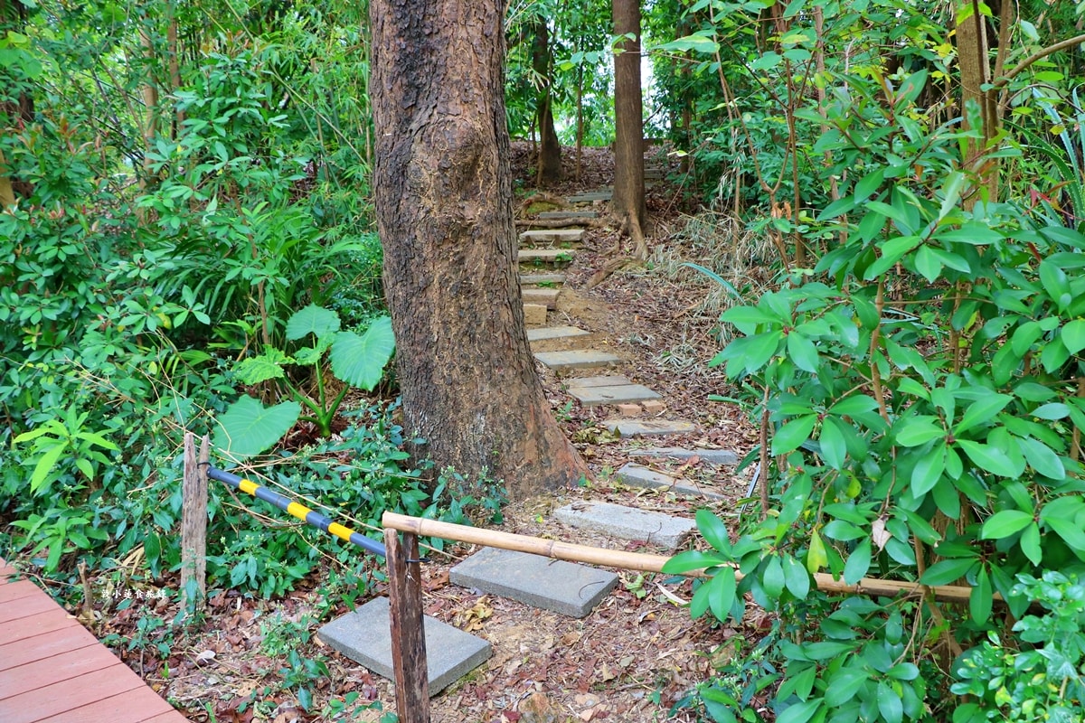 鳥松濕地公園‧自然生態教學為主的濕地公園,內有93種鳥類,喜愛鳥寶你絕不能錯過的生態公園 - 第12張圖 鳥松濕地公園‧自然生態教學為主的濕地公園,內有93種鳥類,喜愛鳥寶你絕不能錯過的生態公園