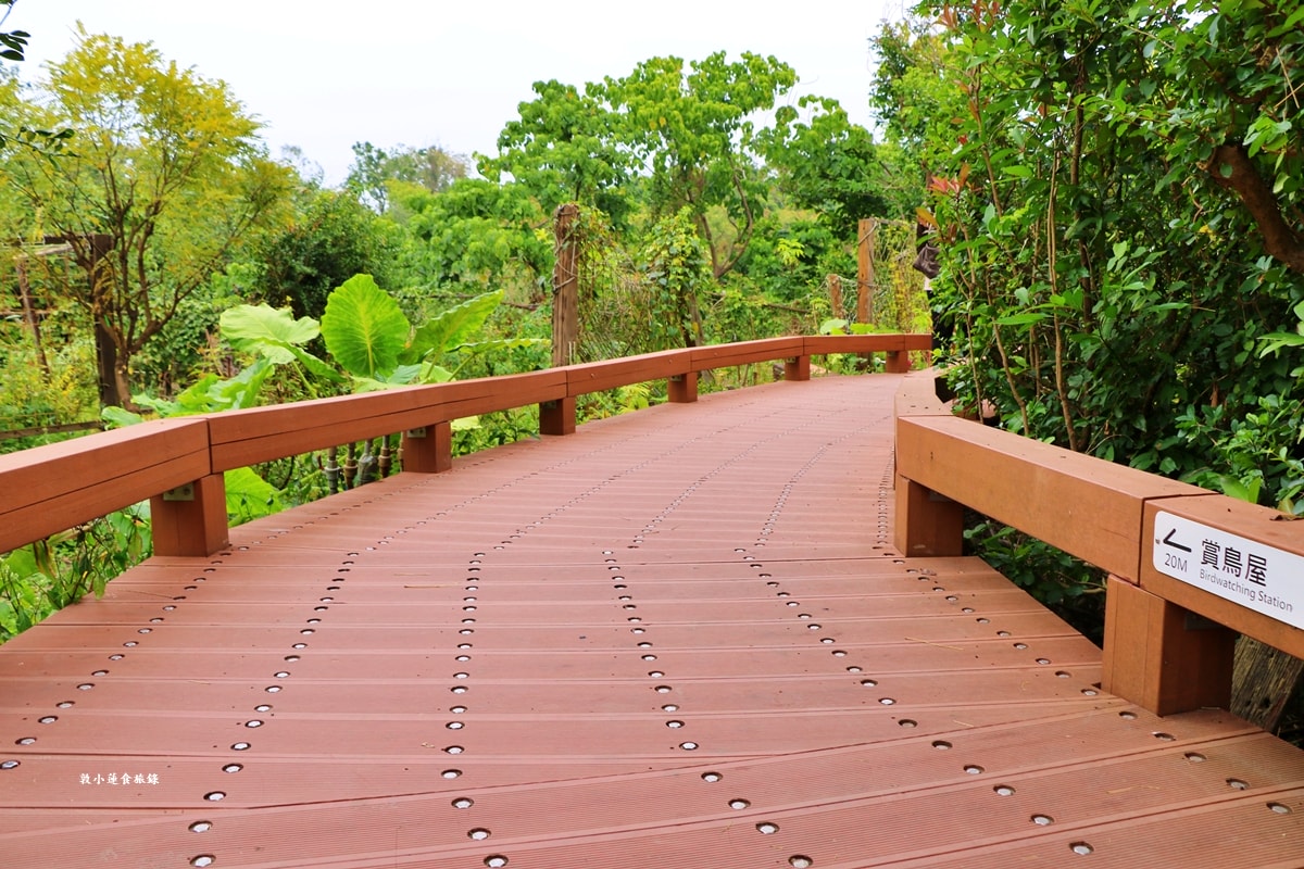 鳥松濕地公園‧自然生態教學為主的濕地公園,內有93種鳥類,喜愛鳥寶你絕不能錯過的生態公園 - 第49張圖 鳥松濕地公園‧自然生態教學為主的濕地公園,內有93種鳥類,喜愛鳥寶你絕不能錯過的生態公園