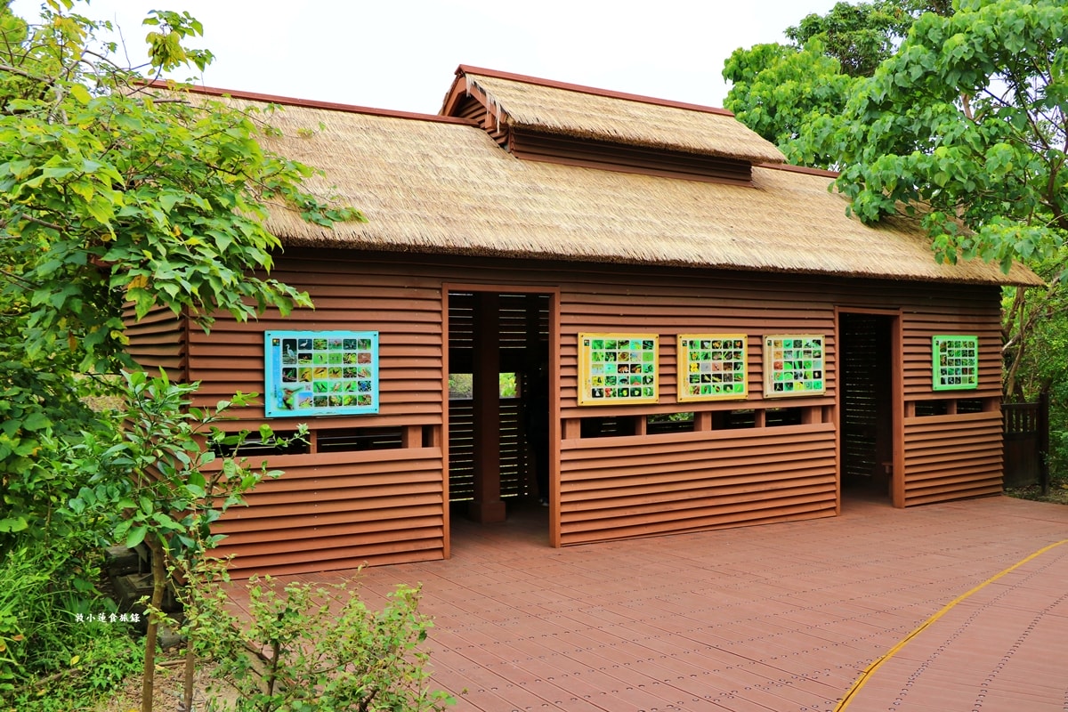 鳥松濕地公園‧自然生態教學為主的濕地公園,內有93種鳥類,喜愛鳥寶你絕不能錯過的生態公園 - 第50張圖 鳥松濕地公園‧自然生態教學為主的濕地公園,內有93種鳥類,喜愛鳥寶你絕不能錯過的生態公園