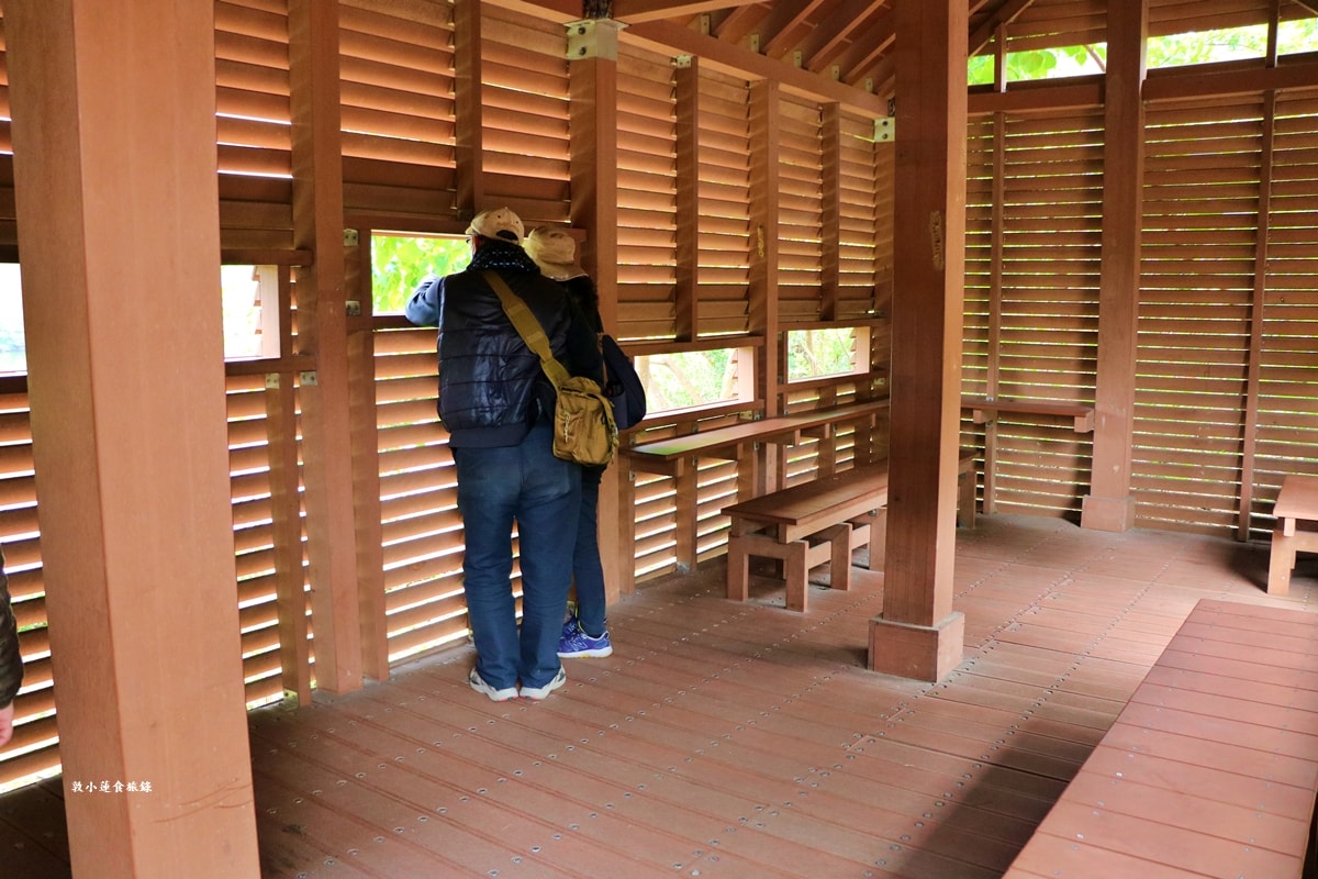鳥松濕地公園‧自然生態教學為主的濕地公園,內有93種鳥類,喜愛鳥寶你絕不能錯過的生態公園 - 第51張圖 鳥松濕地公園‧自然生態教學為主的濕地公園,內有93種鳥類,喜愛鳥寶你絕不能錯過的生態公園