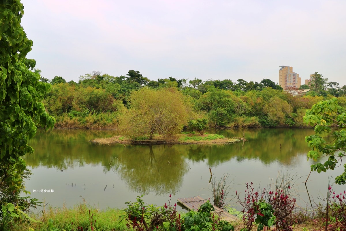 鳥松濕地公園‧自然生態教學為主的濕地公園,內有93種鳥類,喜愛鳥寶你絕不能錯過的生態公園 - 第53張圖 鳥松濕地公園‧自然生態教學為主的濕地公園,內有93種鳥類,喜愛鳥寶你絕不能錯過的生態公園