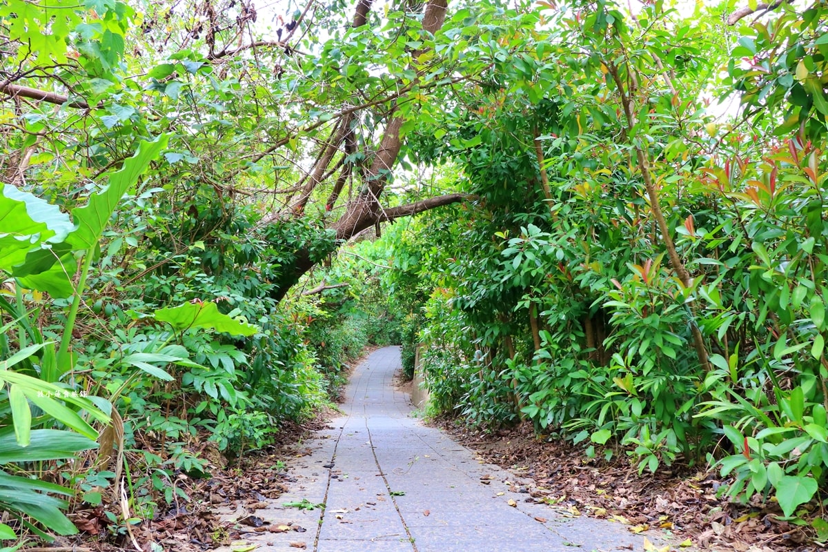 鳥松濕地公園‧自然生態教學為主的濕地公園,內有93種鳥類,喜愛鳥寶你絕不能錯過的生態公園 - 第54張圖 鳥松濕地公園‧自然生態教學為主的濕地公園,內有93種鳥類,喜愛鳥寶你絕不能錯過的生態公園