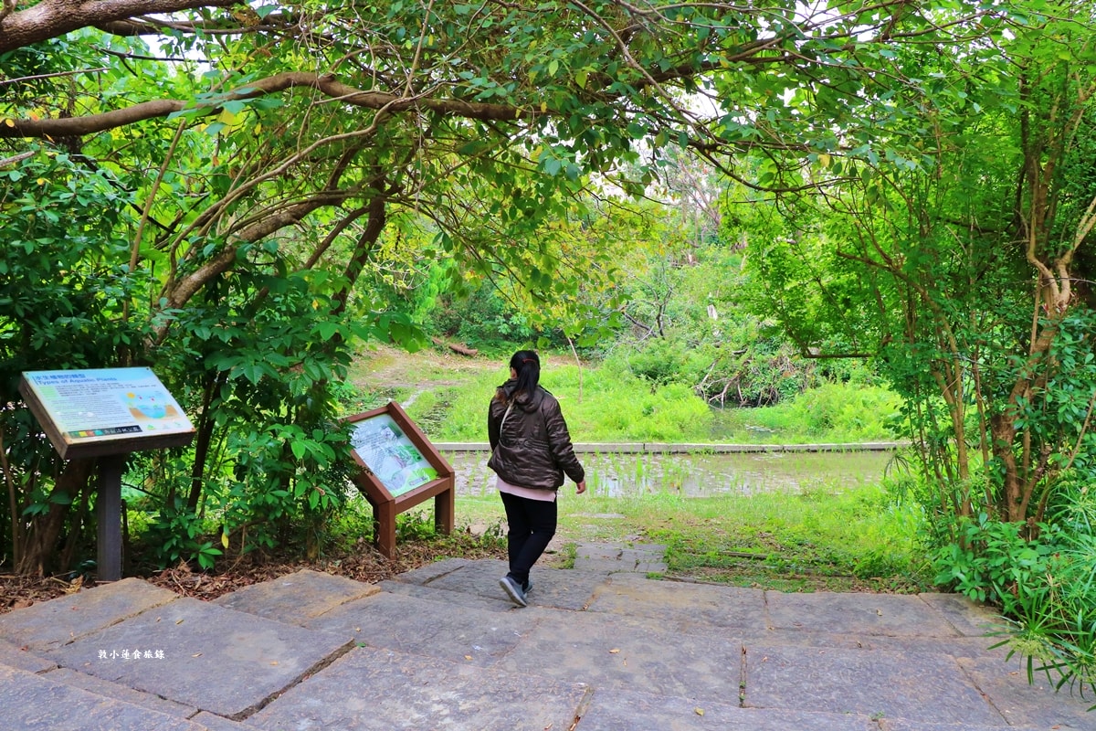 鳥松濕地公園‧自然生態教學為主的濕地公園,內有93種鳥類,喜愛鳥寶你絕不能錯過的生態公園 - 第55張圖 鳥松濕地公園‧自然生態教學為主的濕地公園,內有93種鳥類,喜愛鳥寶你絕不能錯過的生態公園
