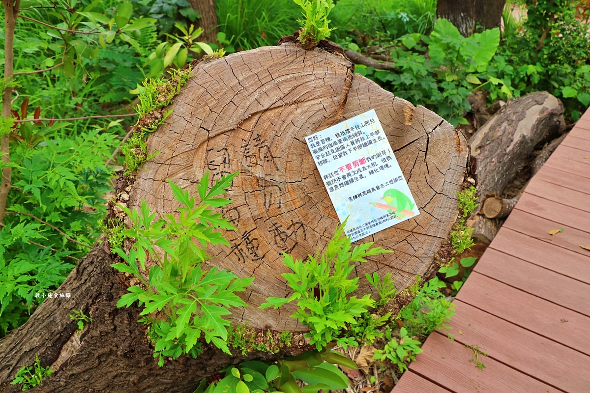 鳥松濕地公園‧自然生態教學為主的濕地公園,內有93種鳥類,喜愛鳥寶你絕不能錯過的生態公園 - 第56張圖 鳥松濕地公園‧自然生態教學為主的濕地公園,內有93種鳥類,喜愛鳥寶你絕不能錯過的生態公園