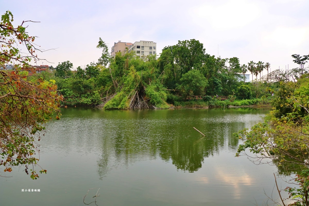 鳥松濕地公園‧自然生態教學為主的濕地公園,內有93種鳥類,喜愛鳥寶你絕不能錯過的生態公園 - 第22張圖 鳥松濕地公園‧自然生態教學為主的濕地公園,內有93種鳥類,喜愛鳥寶你絕不能錯過的生態公園