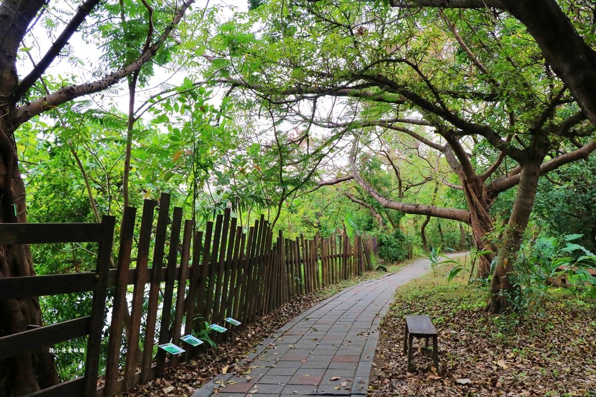 鳥松濕地公園‧自然生態教學為主的濕地公園,內有93種鳥類,喜愛鳥寶你絕不能錯過的生態公園 - 第62張圖 鳥松濕地公園‧自然生態教學為主的濕地公園,內有93種鳥類,喜愛鳥寶你絕不能錯過的生態公園