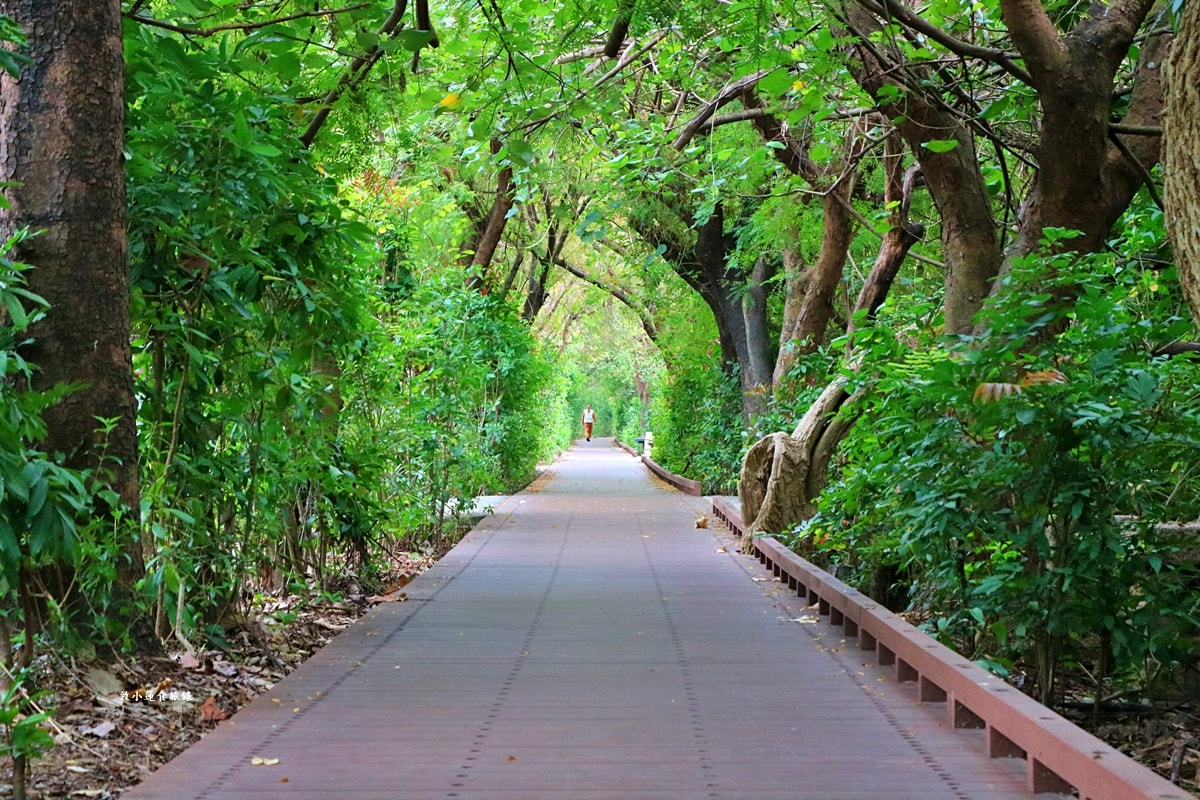 鳥松濕地公園‧自然生態教學為主的濕地公園,內有93種鳥類,喜愛鳥寶你絕不能錯過的生態公園 - 第63張圖 鳥松濕地公園‧自然生態教學為主的濕地公園,內有93種鳥類,喜愛鳥寶你絕不能錯過的生態公園