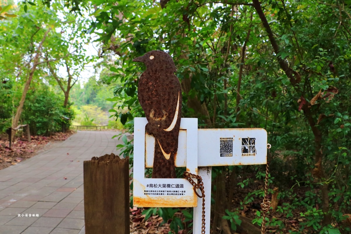 鳥松濕地公園‧自然生態教學為主的濕地公園,內有93種鳥類,喜愛鳥寶你絕不能錯過的生態公園 - 第64張圖 鳥松濕地公園‧自然生態教學為主的濕地公園,內有93種鳥類,喜愛鳥寶你絕不能錯過的生態公園