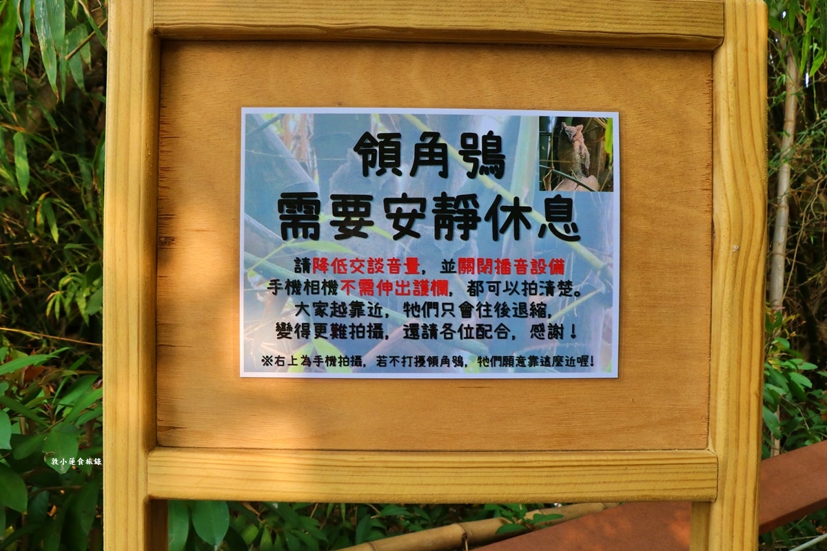 鳥松濕地公園‧自然生態教學為主的濕地公園,內有93種鳥類,喜愛鳥寶你絕不能錯過的生態公園 - 第46張圖 鳥松濕地公園‧自然生態教學為主的濕地公園,內有93種鳥類,喜愛鳥寶你絕不能錯過的生態公園