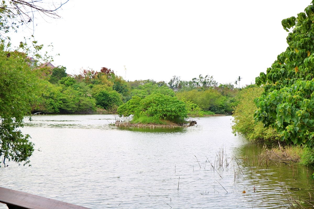 鳥松濕地公園‧自然生態教學為主的濕地公園,內有93種鳥類,喜愛鳥寶你絕不能錯過的生態公園 - 第65張圖 鳥松濕地公園‧自然生態教學為主的濕地公園,內有93種鳥類,喜愛鳥寶你絕不能錯過的生態公園