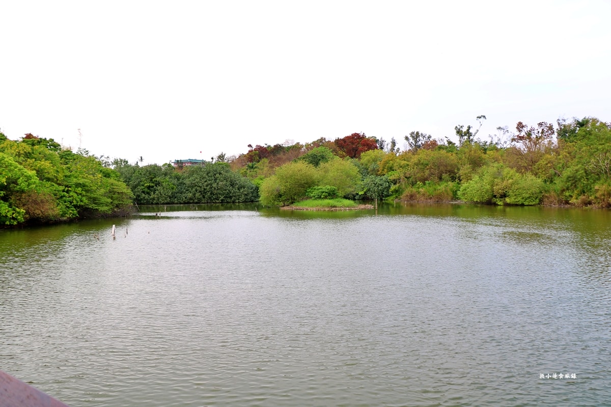 鳥松濕地公園‧自然生態教學為主的濕地公園,內有93種鳥類,喜愛鳥寶你絕不能錯過的生態公園 - 第66張圖 鳥松濕地公園‧自然生態教學為主的濕地公園,內有93種鳥類,喜愛鳥寶你絕不能錯過的生態公園