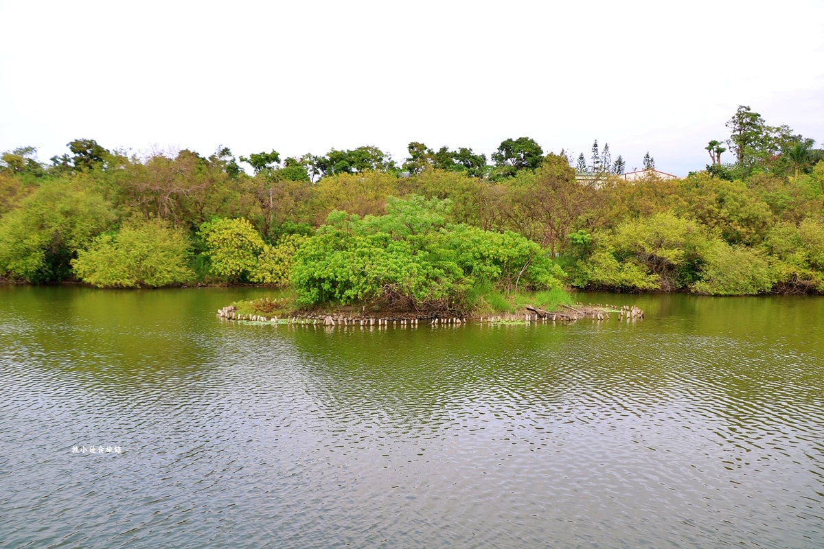 鳥松濕地公園‧自然生態教學為主的濕地公園,內有93種鳥類,喜愛鳥寶你絕不能錯過的生態公園 - 第67張圖 鳥松濕地公園‧自然生態教學為主的濕地公園,內有93種鳥類,喜愛鳥寶你絕不能錯過的生態公園