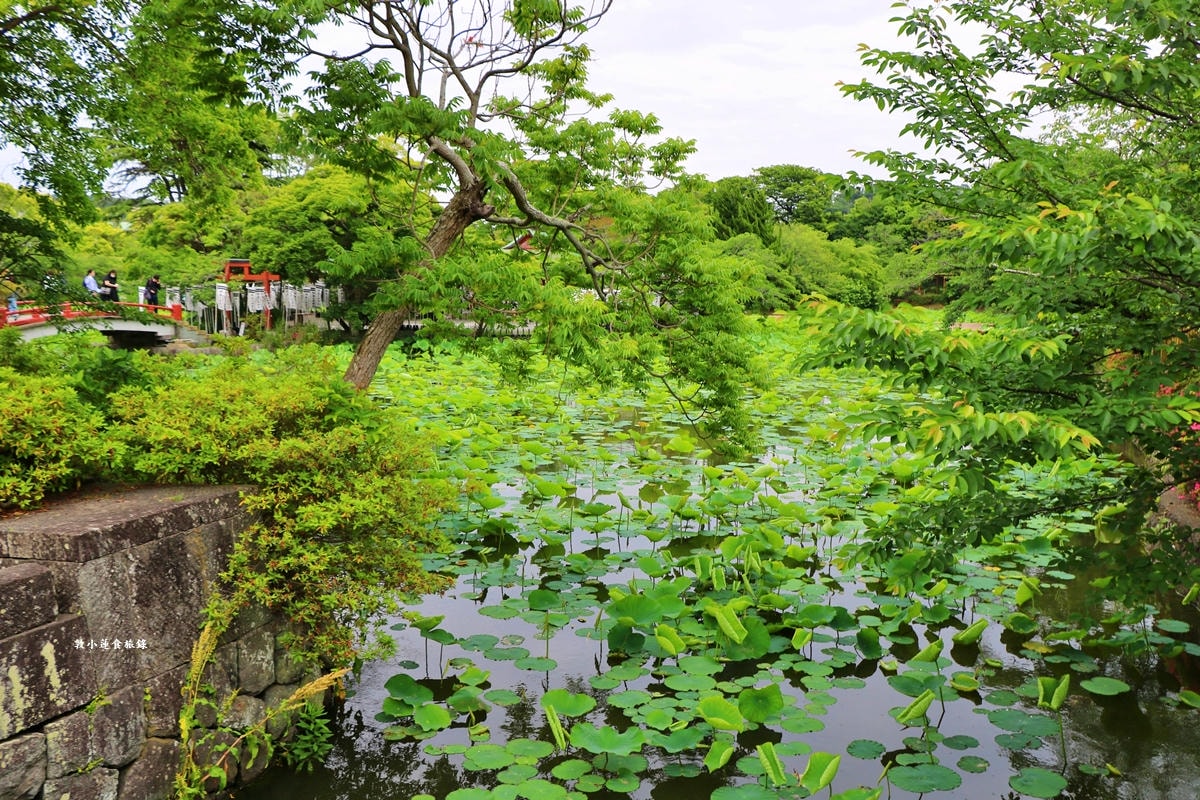 【神奈川鎌倉】鶴岡八幡宮‧800年歷史的神社,供奉武士守護神八幡神,賞櫻期必訪神社 - 第8張圖 【神奈川鎌倉】鶴岡八幡宮‧800年歷史的神社,供奉武士守護神八幡神,賞櫻期必訪神社