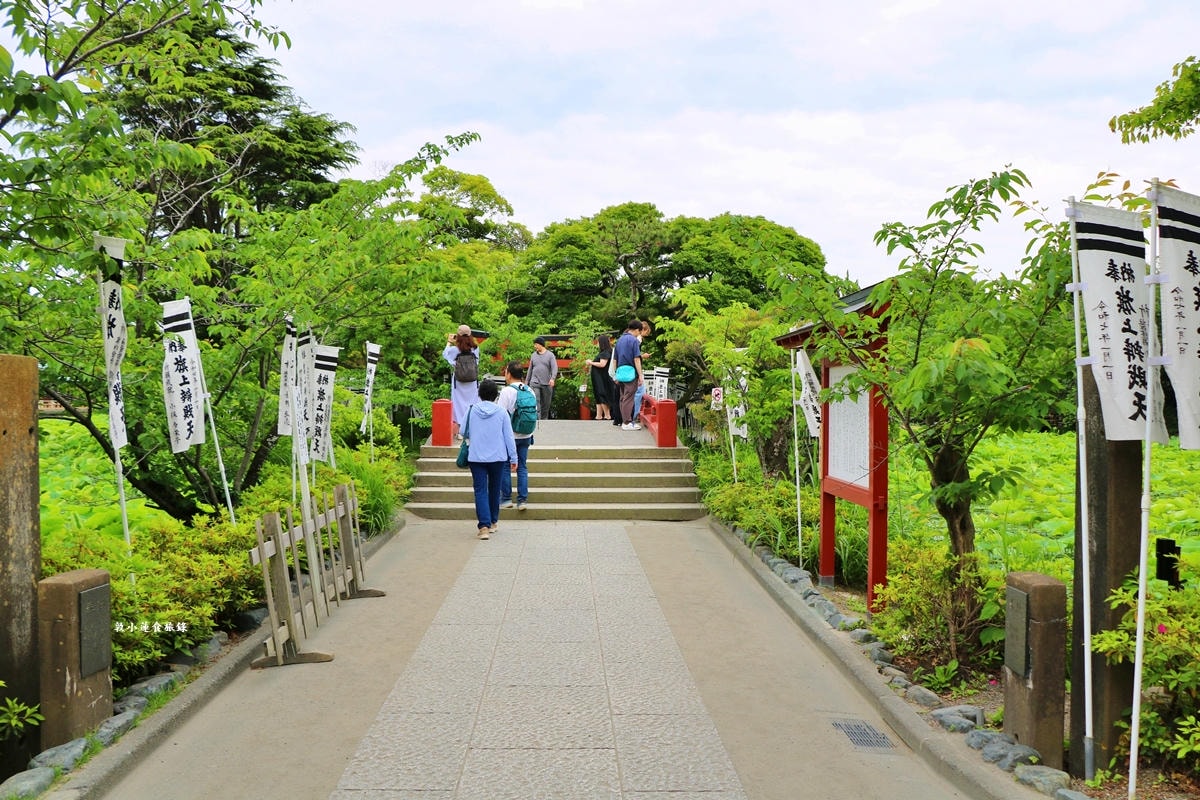 【神奈川鎌倉】鶴岡八幡宮‧800年歷史的神社,供奉武士守護神八幡神,賞櫻期必訪神社 - 第9張圖 【神奈川鎌倉】鶴岡八幡宮‧800年歷史的神社,供奉武士守護神八幡神,賞櫻期必訪神社