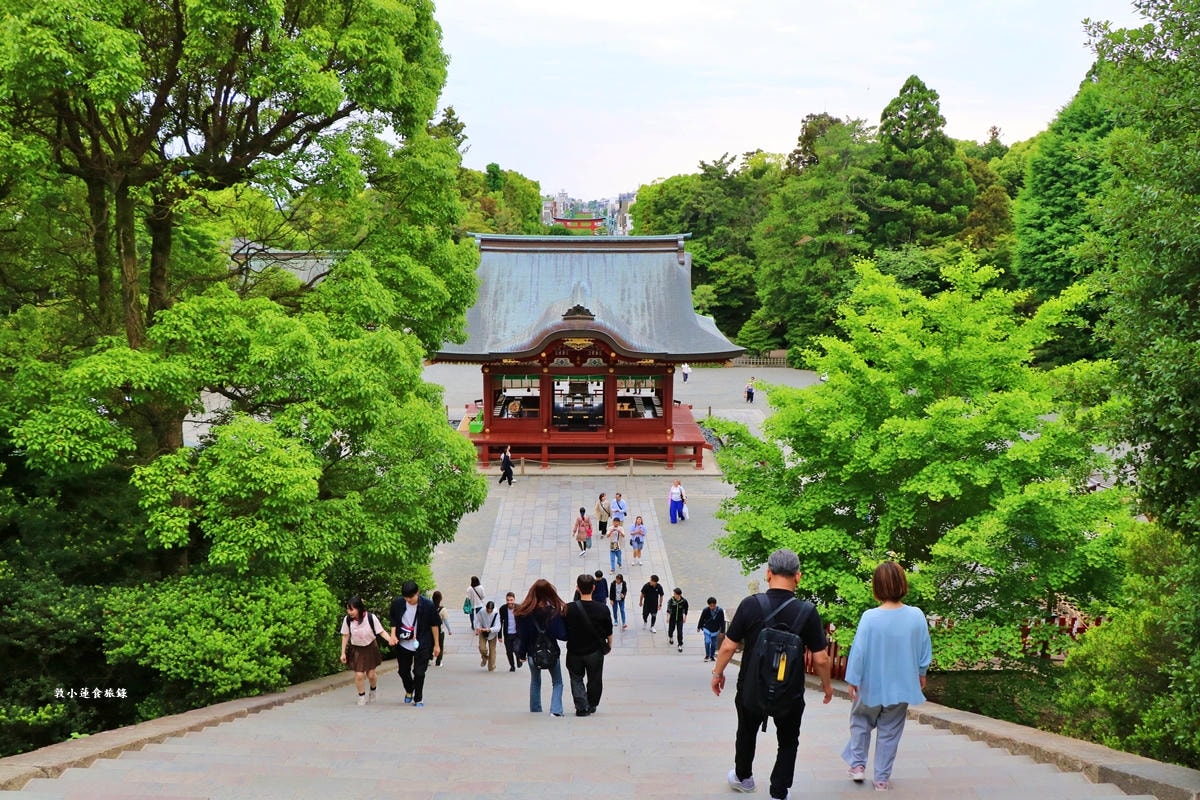 【神奈川鎌倉】鶴岡八幡宮‧800年歷史的神社,供奉武士守護神八幡神,賞櫻期必訪神社 - 第29張圖 【神奈川鎌倉】鶴岡八幡宮‧800年歷史的神社,供奉武士守護神八幡神,賞櫻期必訪神社