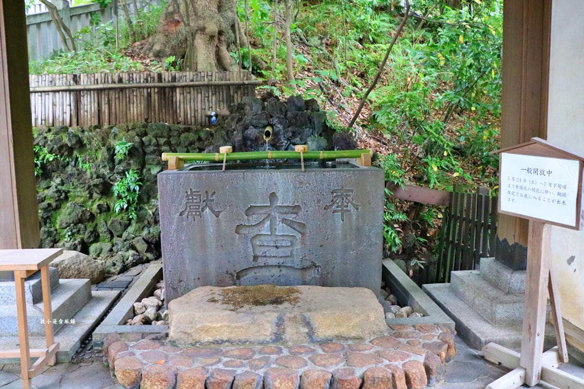 【神奈川橫濱】伊勢山皇大神宮‧有著關東伊勢神宮的稱號，也是橫濱的守護神社，春天的落櫻不可錯過