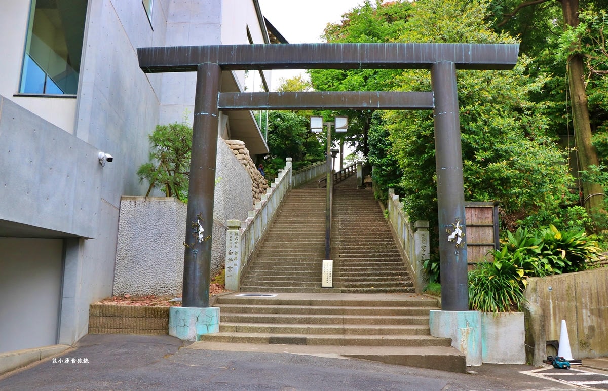 【神奈川橫濱】伊勢山皇大神宮‧有著關東伊勢神宮的稱號，也是橫濱的守護神社，春天的落櫻不可錯過