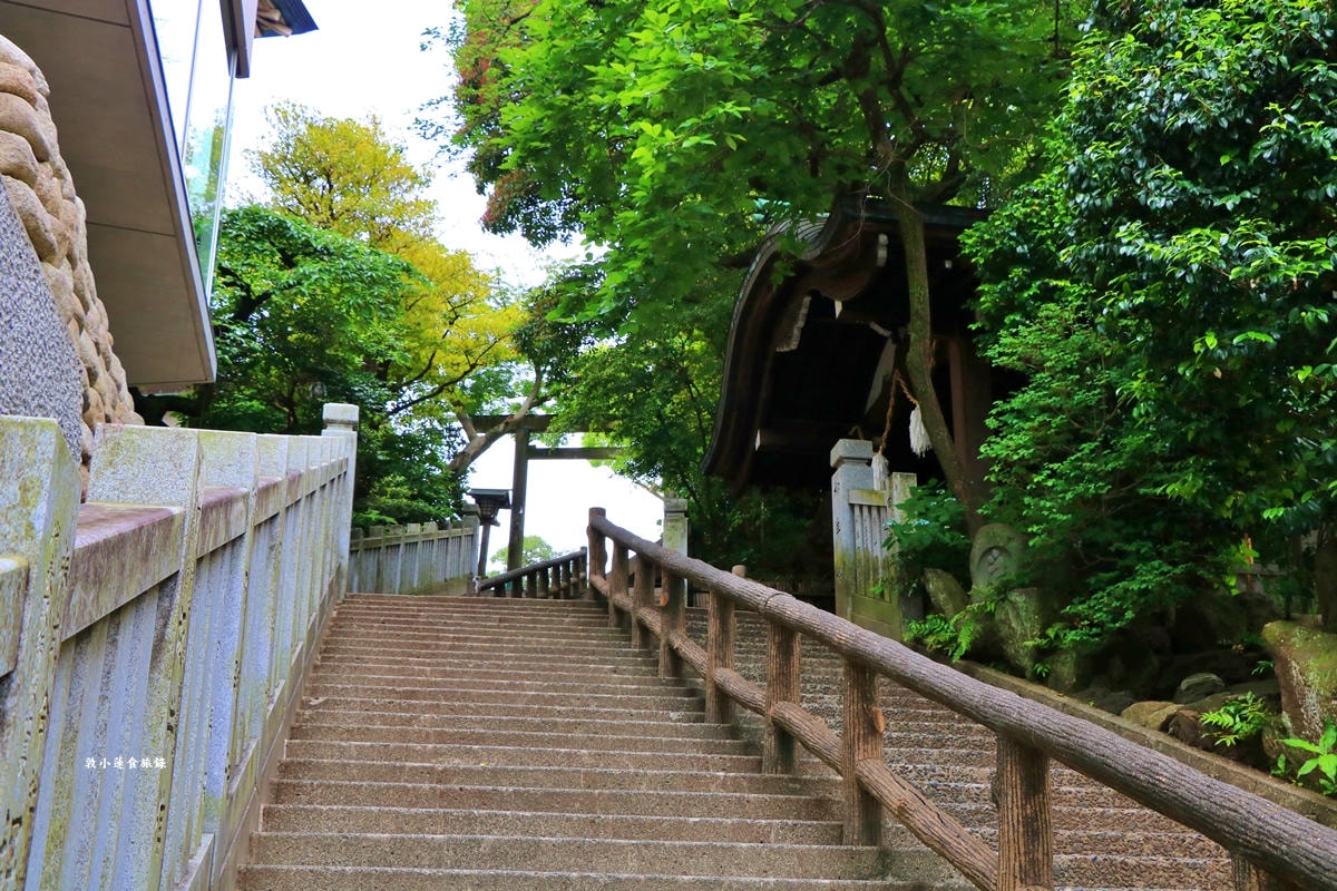 【神奈川橫濱】伊勢山皇大神宮‧有著關東伊勢神宮的稱號，也是橫濱的守護神社，春天的落櫻不可錯過