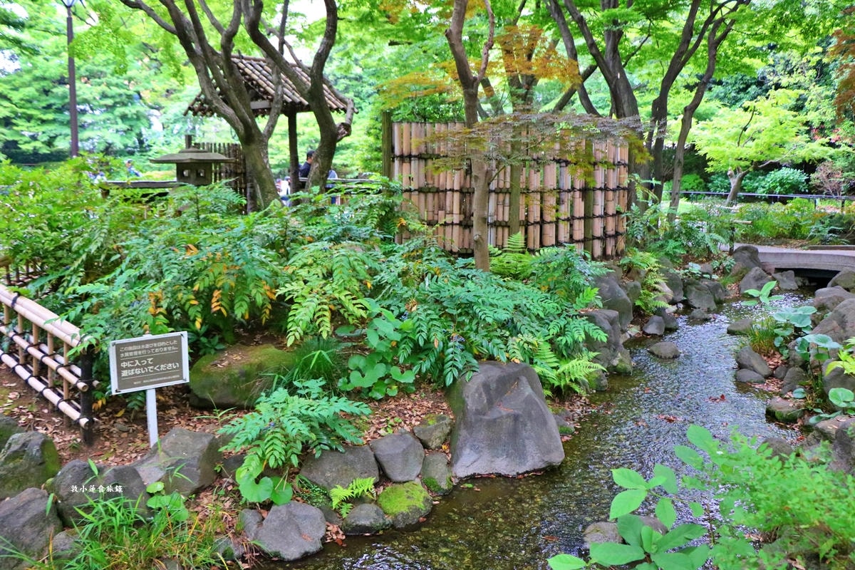 【神奈川橫濱】橫濱公園 彼我庭園‧日本最古老的公園,寧靜的日式庭園春賞鬱金香,秋看楓紅葉 - 第9張圖 【神奈川橫濱】橫濱公園 彼我庭園‧日本最古老的公園,寧靜的日式庭園春賞鬱金香,秋看楓紅葉