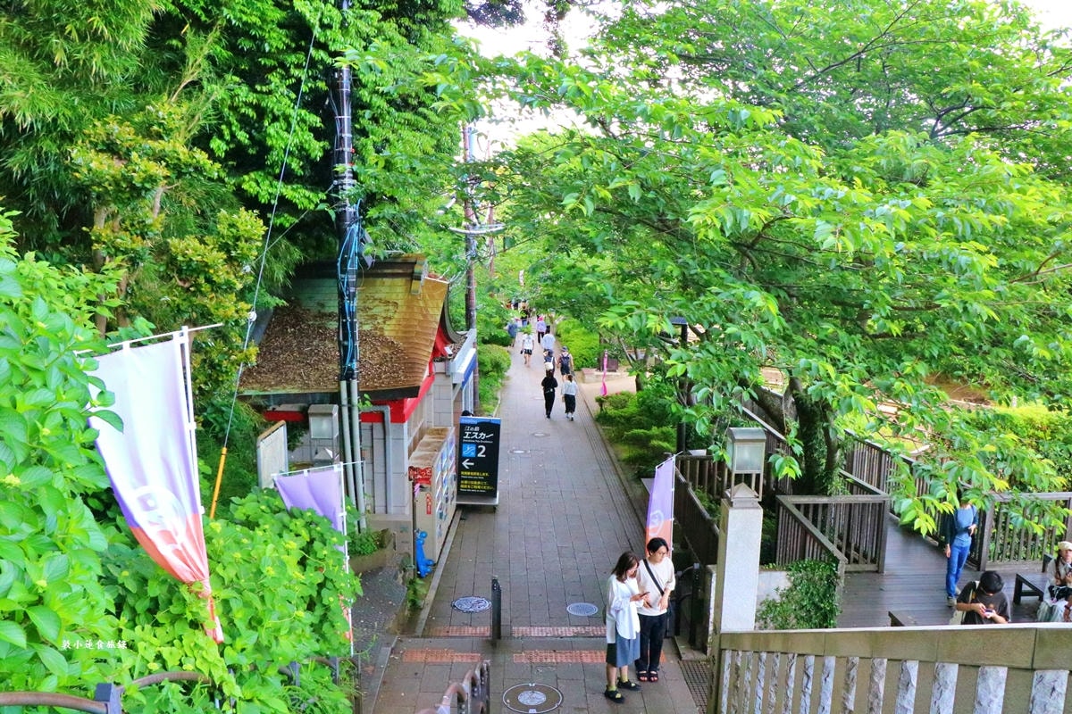 【神奈川藤澤】日本三大弁財天-江島神社‧邊津宮、中津宮、奧津宮,求拜姻緣、財運古老神社 - 第61張圖 【神奈川藤澤】日本三大弁財天-江島神社‧邊津宮、中津宮、奧津宮,求拜姻緣、財運古老神社
