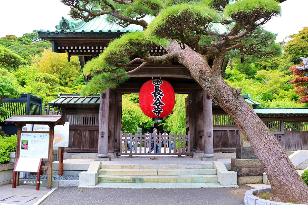 【日本神奈川】鎌倉江之島二天一夜懶人包‧交通、景點、美食一次總攻略,感受文物與環境的奧秘 - 第32張圖 【日本神奈川】鎌倉江之島二天一夜懶人包‧交通、景點、美食一次總攻略,感受文物與環境的奧秘