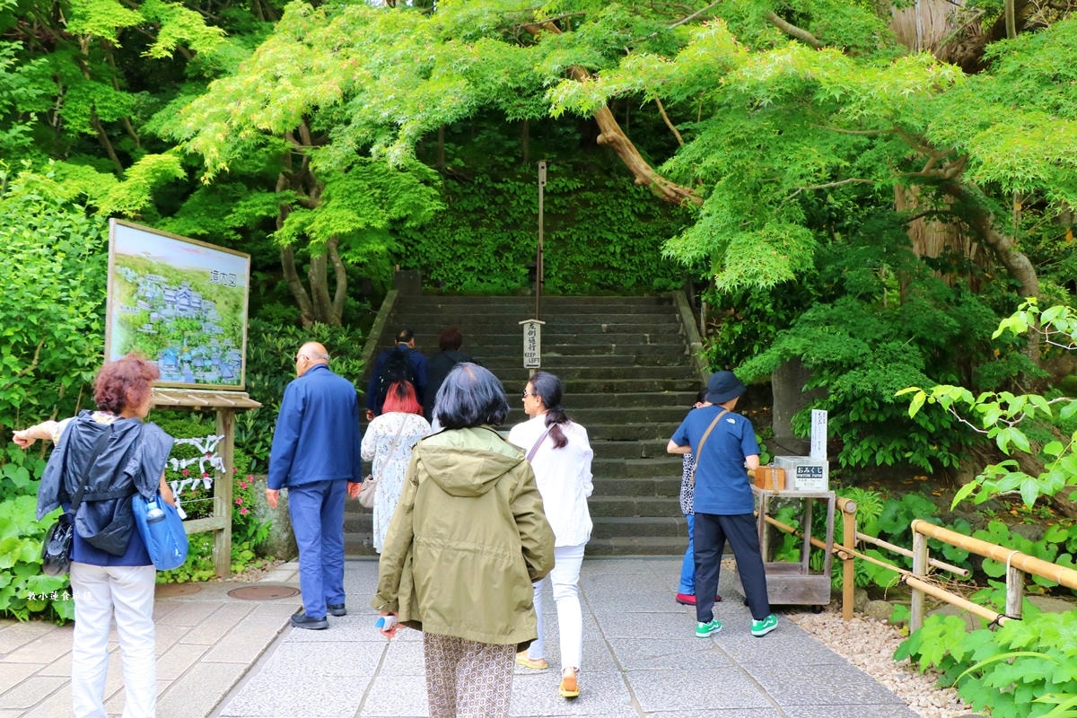 【神奈川鐮倉】長谷寺‧鐮倉最古老的古寺之一，以繡球出名的長谷觀音寺，本尊十一面觀音菩薩像為日本家重要文化財產!!