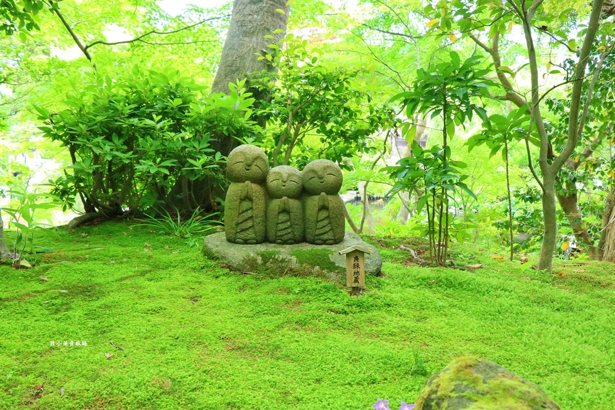 【日本神奈川】鎌倉江之島二天一夜懶人包‧交通、景點、美食一次總攻略,感受文物與環境的奧秘 - 第33張圖 【日本神奈川】鎌倉江之島二天一夜懶人包‧交通、景點、美食一次總攻略,感受文物與環境的奧秘