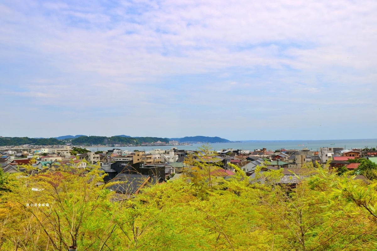 【神奈川鐮倉】長谷寺‧鐮倉最古老的古寺之一，以繡球出名的長谷觀音寺，本尊十一面觀音菩薩像為日本家重要文化財產!!