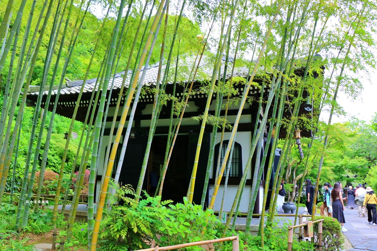 【神奈川鐮倉】長谷寺‧鐮倉最古老的古寺之一，以繡球出名的長谷觀音寺，本尊十一面觀音菩薩像為日本家重要文化財產!!