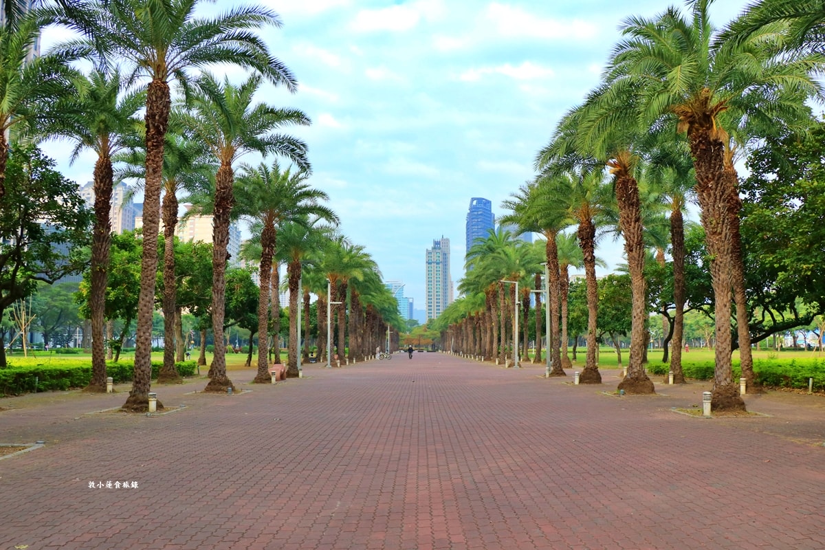 凹子底森林公園‧冬季限定美景落羽松,綠、黃、橘紅色交織,數十種鳥類聚集,捷運凹子底站即到!! - 第3張圖 凹子底森林公園‧冬季限定美景落羽松,綠、黃、橘紅色交織,數十種鳥類聚集,捷運凹子底站即到!!