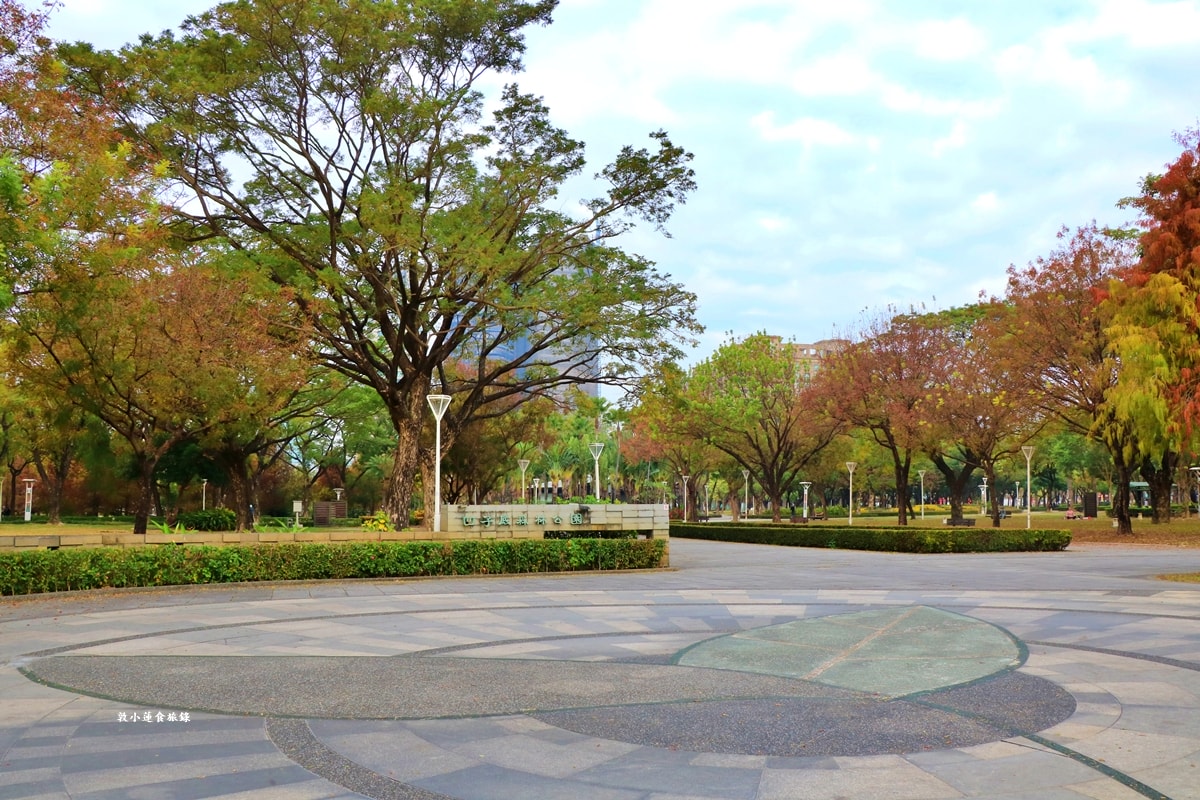 凹子底森林公園‧冬季限定美景落羽松,綠、黃、橘紅色交織,數十種鳥類聚集,捷運凹子底站即到!! - 第4張圖 凹子底森林公園‧冬季限定美景落羽松,綠、黃、橘紅色交織,數十種鳥類聚集,捷運凹子底站即到!!