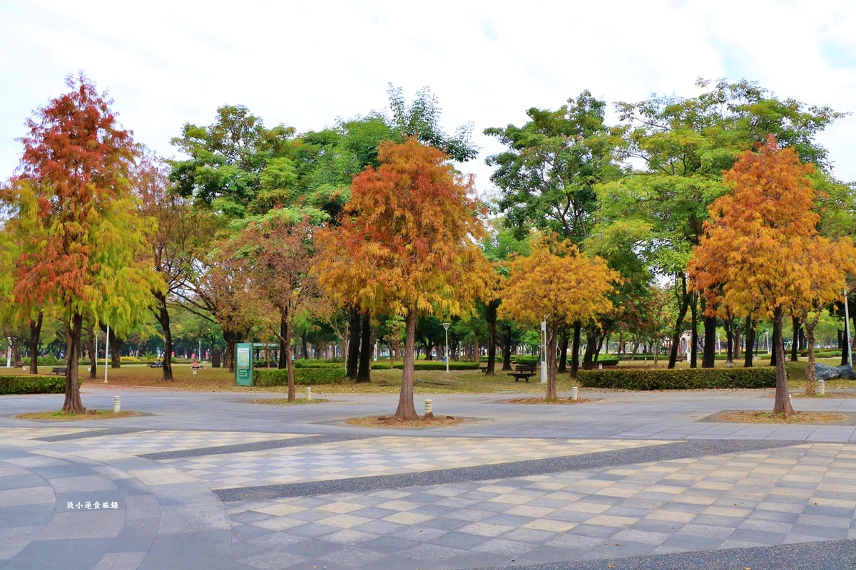 凹子底森林公園‧冬季限定美景落羽松,綠、黃、橘紅色交織,數十種鳥類聚集,捷運凹子底站即到!! - 第5張圖 凹子底森林公園‧冬季限定美景落羽松,綠、黃、橘紅色交織,數十種鳥類聚集,捷運凹子底站即到!!