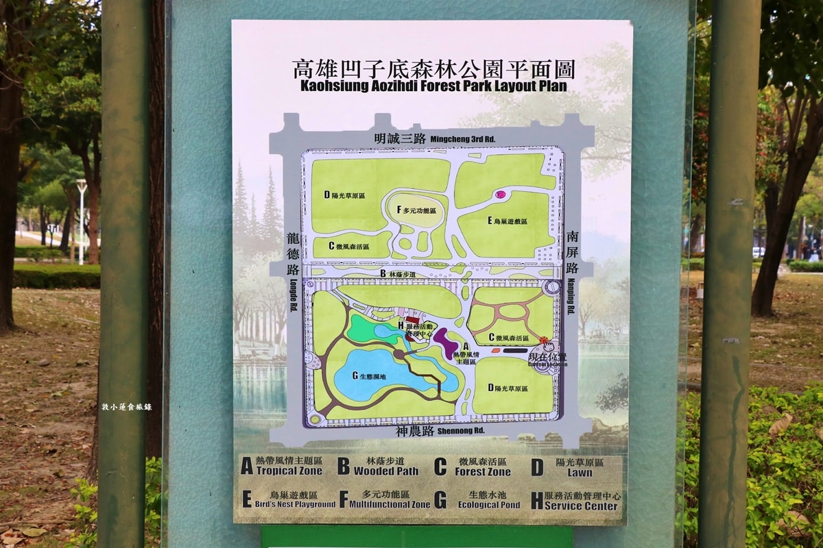 凹子底森林公園‧冬季限定美景落羽松,綠、黃、橘紅色交織,數十種鳥類聚集,捷運凹子底站即到!! - 第6張圖 凹子底森林公園‧冬季限定美景落羽松,綠、黃、橘紅色交織,數十種鳥類聚集,捷運凹子底站即到!!