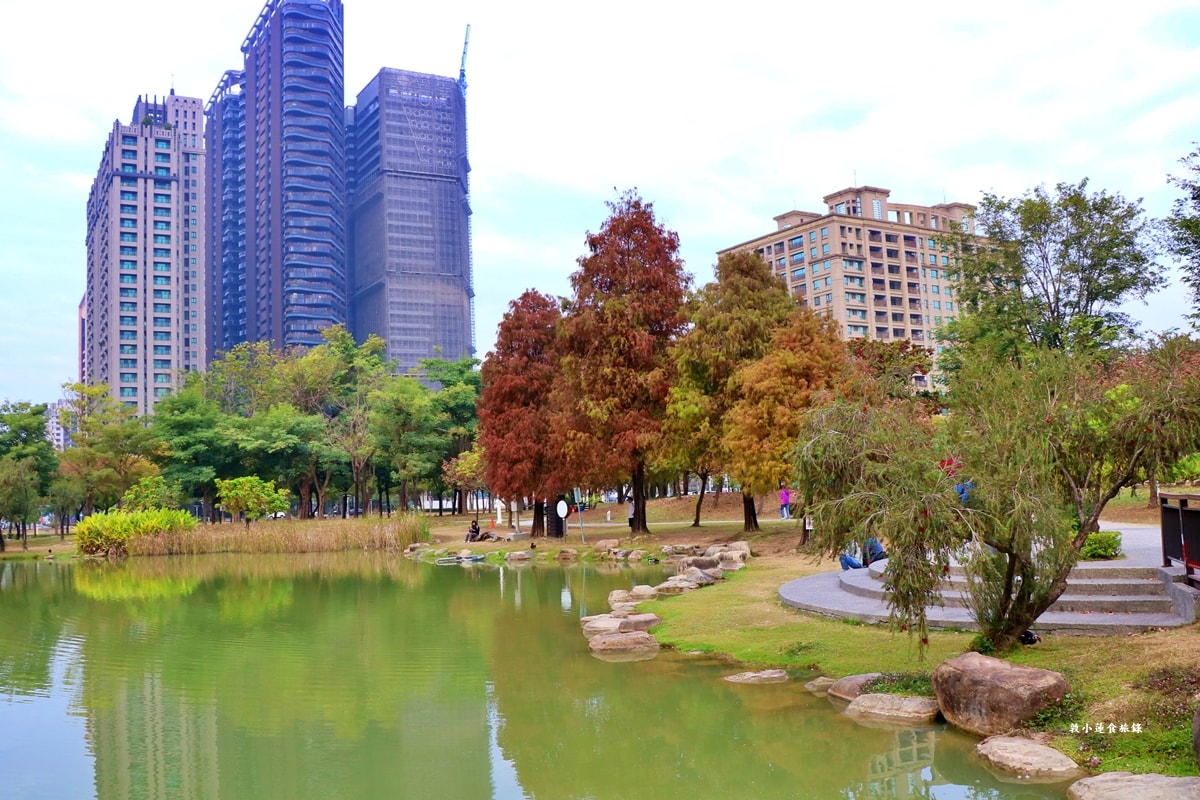 凹子底森林公園‧冬季限定美景落羽松,綠、黃、橘紅色交織,數十種鳥類聚集,捷運凹子底站即到!! - 第11張圖 凹子底森林公園‧冬季限定美景落羽松,綠、黃、橘紅色交織,數十種鳥類聚集,捷運凹子底站即到!!