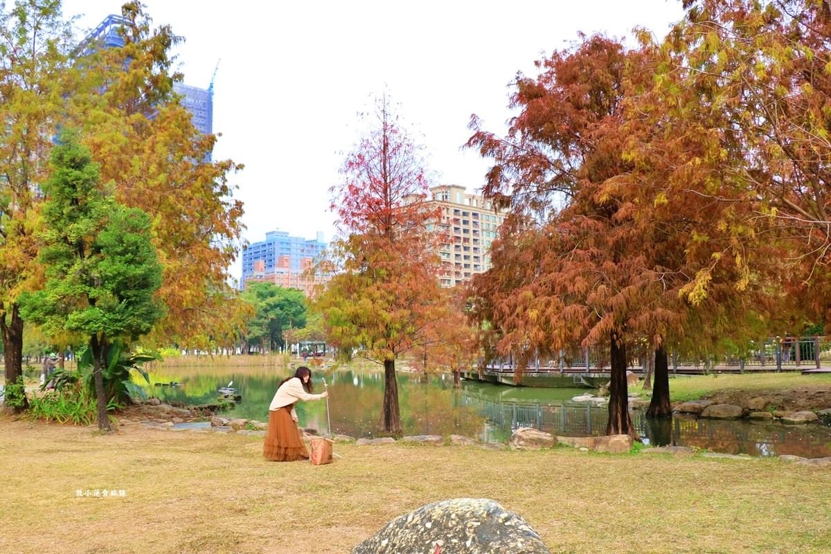 凹子底森林公園‧冬季限定美景落羽松,綠、黃、橘紅色交織,數十種鳥類聚集,捷運凹子底站即到!! - 第17張圖 凹子底森林公園‧冬季限定美景落羽松,綠、黃、橘紅色交織,數十種鳥類聚集,捷運凹子底站即到!!